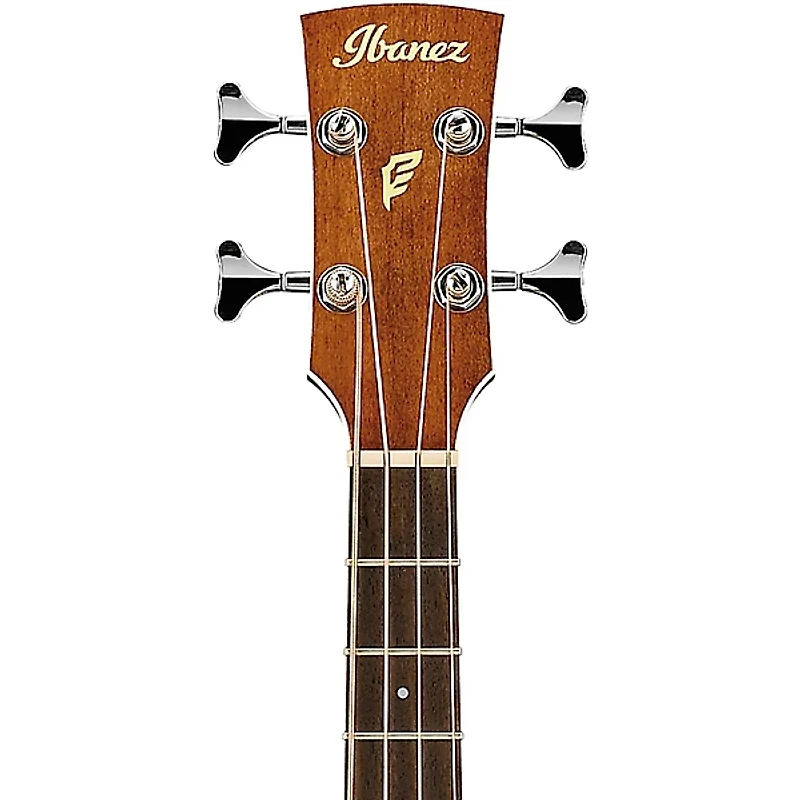 Ibanez PNB14E Parlor Acoustic-Electric Bass Guitar Natural