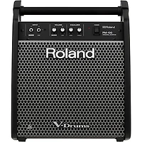 Roland PM-100 V-Drum Speaker System