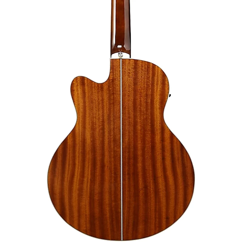 Ibanez AEB105E 5-String Acoustic-Electric Bass Guitar Gloss Natural