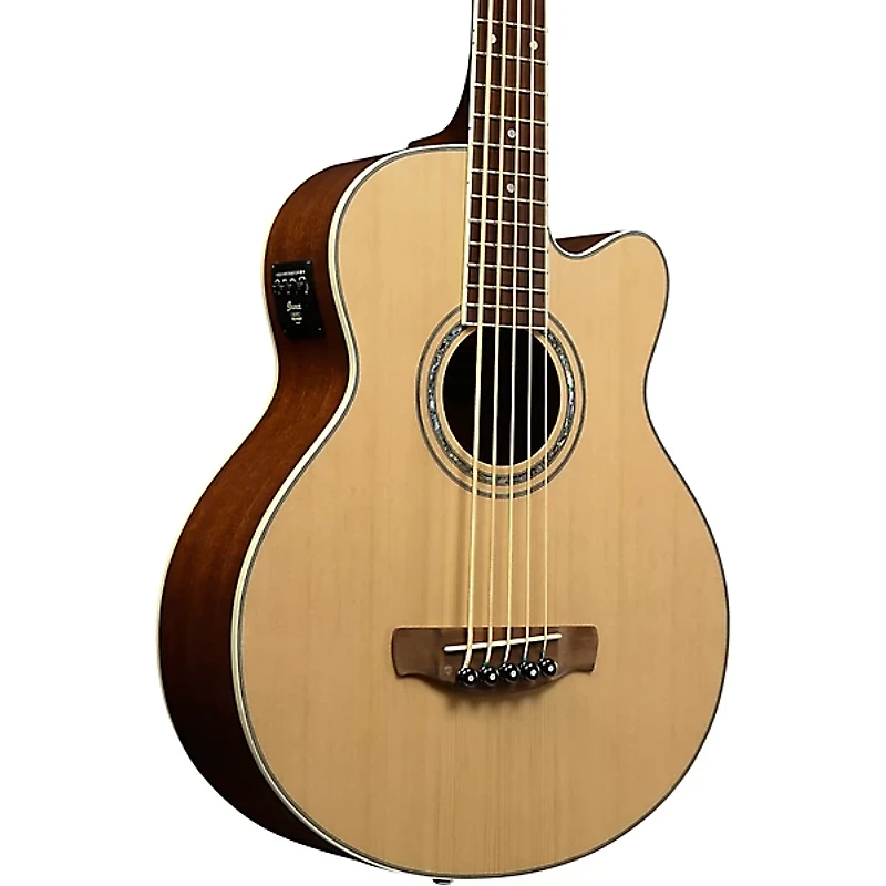 Ibanez AEB105E 5-String Acoustic-Electric Bass Guitar Gloss Natural