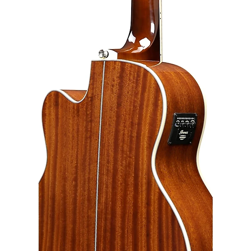 Ibanez AEB105E 5-String Acoustic-Electric Bass Guitar Gloss Natural