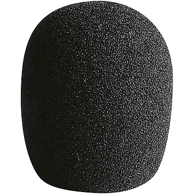 LEWITT LCT 40 Ws Windscreen