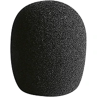 LEWITT LCT 40 Ws Windscreen