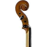 Strobel ML-100 Student Series 1/8 Size Violin Outfit Dominant