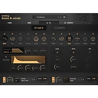 Output Analog Brass & Winds