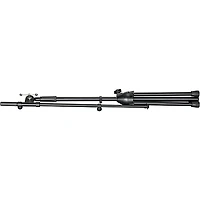 Proline MS320TB Microphone Stand With Telescopic Boom - Black