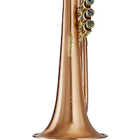 Blessing BFH-1541RT Performance Series Bb Flugelhorn Matte