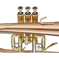 Blessing BFH-1541RT Performance Series Bb Flugelhorn Matte