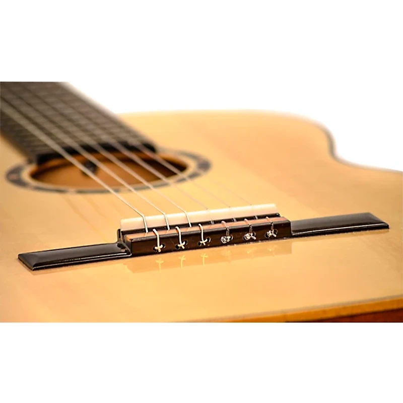 Ortega Family R122SN Classical Guitar Natural Matte
