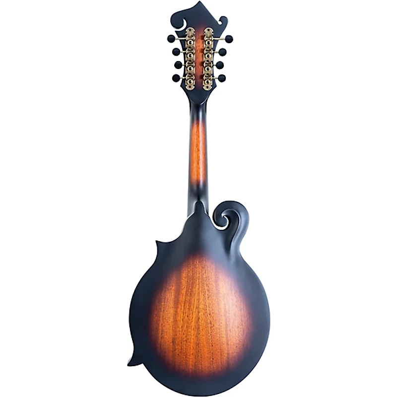 Washburn M108SWK-D Americana F-Style Mandolin