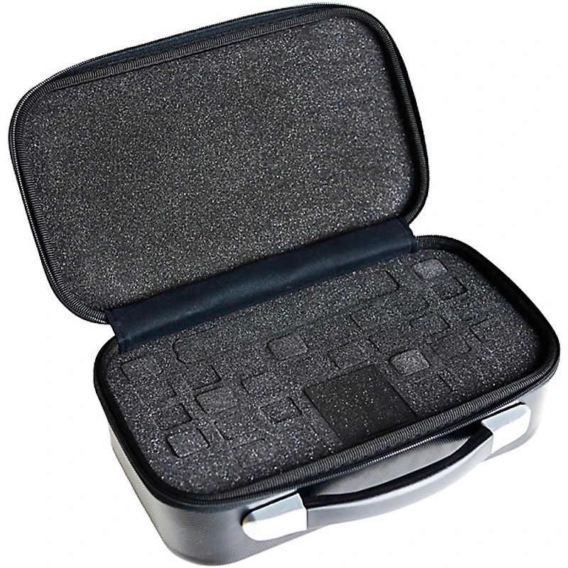 SEYDEL Blues Harmonica Case