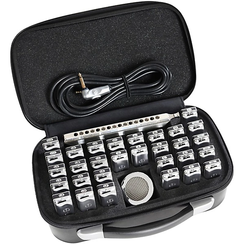 SEYDEL Blues Harmonica Case