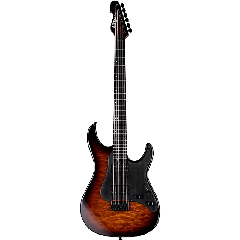 ESP LTD SN-1000HT Electric Guitar -