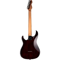 ESP LTD SN-1000HT Electric Guitar -