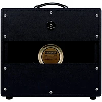 Synergy SYN-112 EXT 65W 1x12 Guitar Extension Speaker Cabinet
