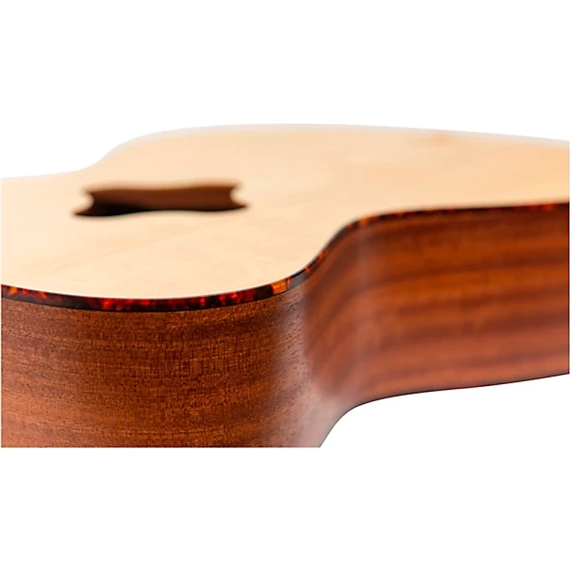 WalkaBout Odyssey Drum