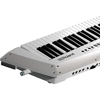 Roland AX-Edge Keytar Synthesizer -