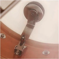 Rogers Internal Tone Control