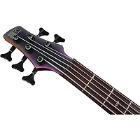 Ibanez SR505E 5-String Electric Bass Guitar -