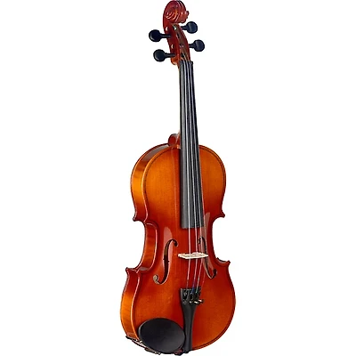 Stagg VN-L Series Student Violin Outfit