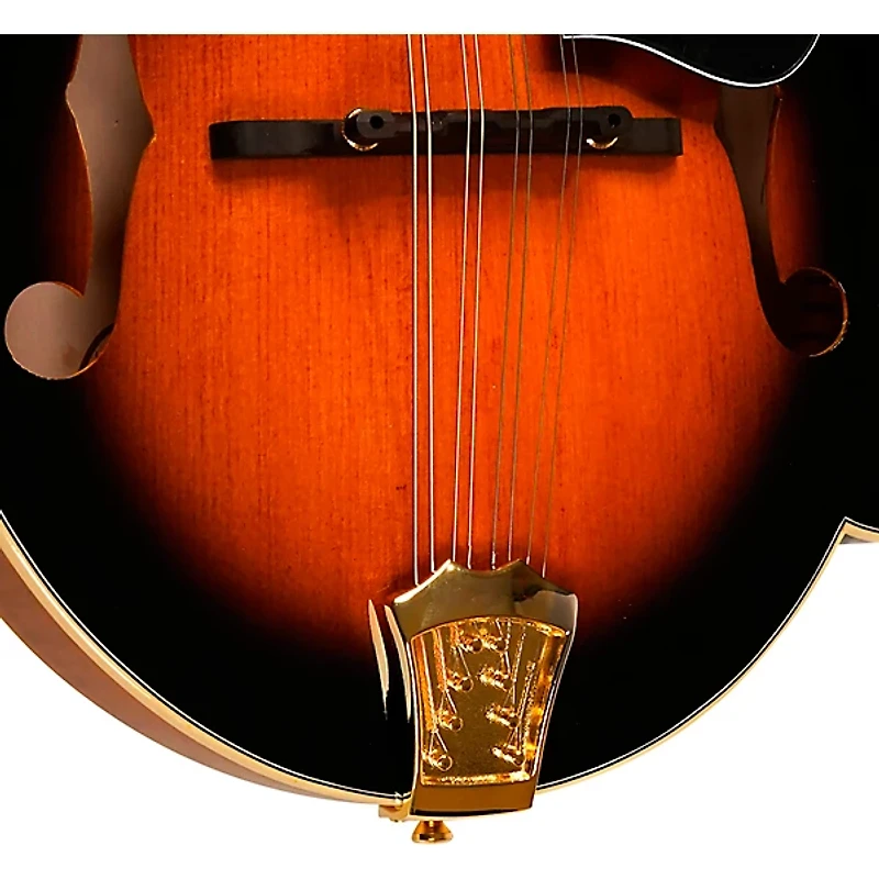 Gold Tone GM-70+ F-Style Mandolin Tobacco Sunburst