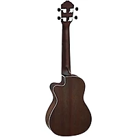 Ortega RUDAWN Earth Series Concert Ukulele Transparent Tequila Sunburst