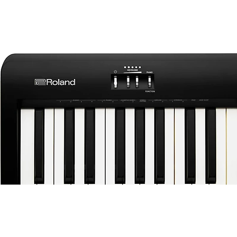 Roland FP-10 88-Key Digital Piano - Black
