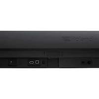 Roland FP-10 88-Key Digital Piano - Black
