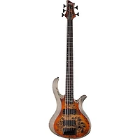 Schecter Guitar Research Riot-5 5-String Bass