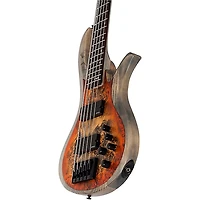 Schecter Guitar Research Riot-5 5-String Bass