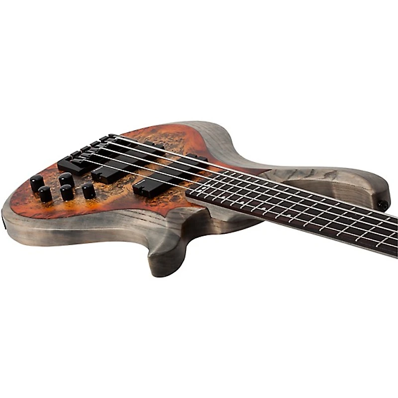 Schecter Guitar Research Riot-5 5-String Bass