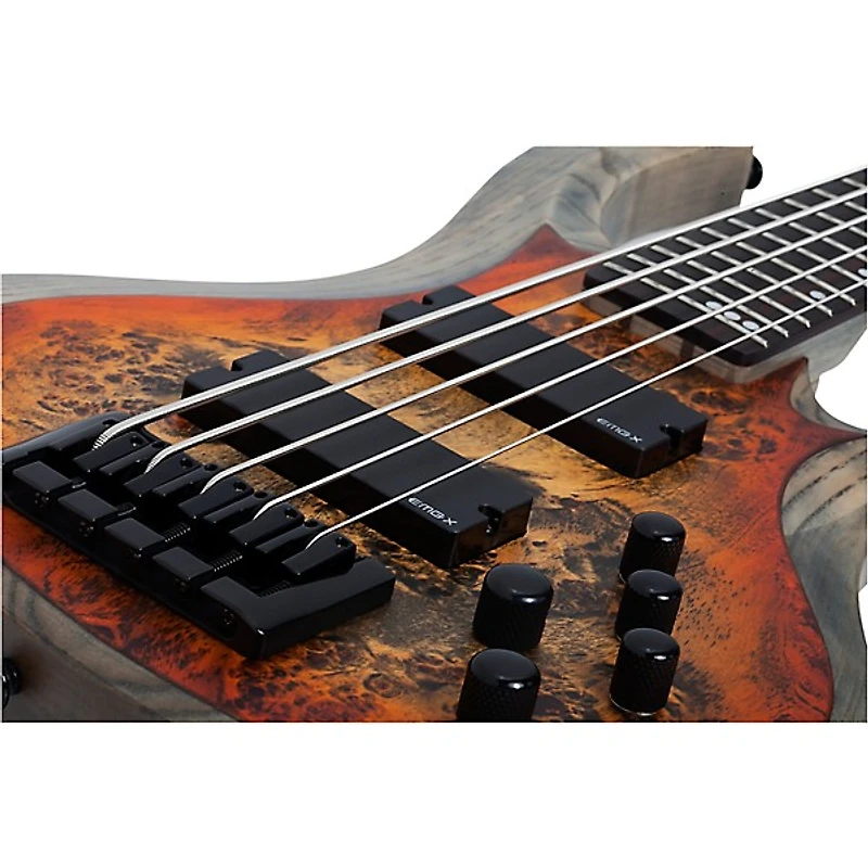 Schecter Guitar Research Riot-5 5-String Bass