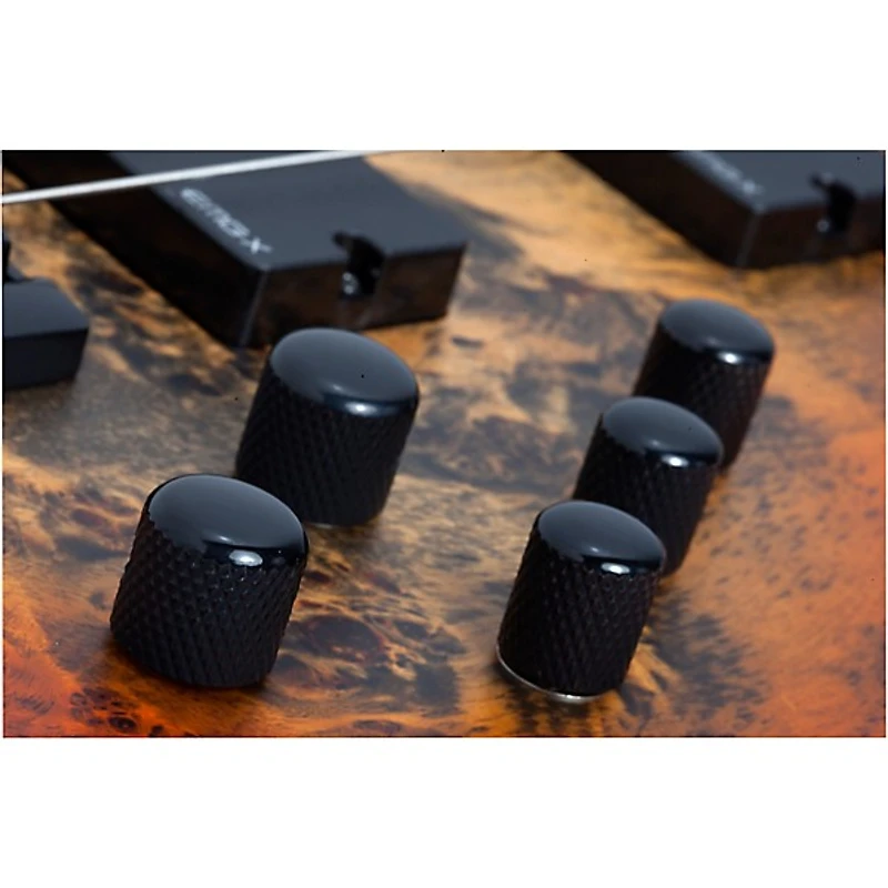 Schecter Guitar Research Riot-5 5-String Bass