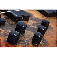 Schecter Guitar Research Riot-5 5-String Bass
