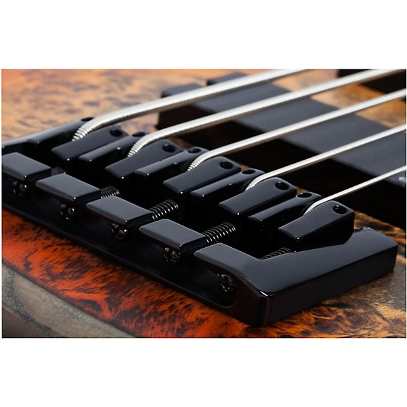 Schecter Guitar Research Riot-5 5-String Bass