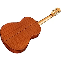 Cordoba C5 SP Classical Acoustic Guitar - Natural