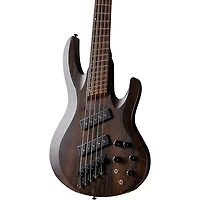 ESP LTD B-1005 Multi-Scale 5-string Bass Natural Satin