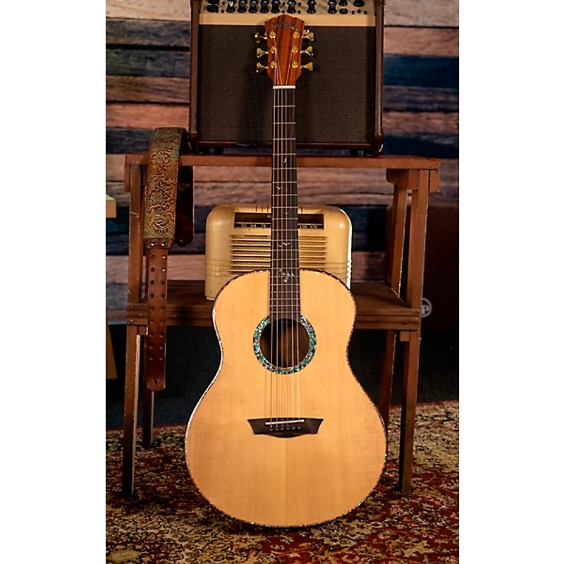 Washburn Bella Tono Elegante S24S Studio Acoustic Guitar Gloss Natural
