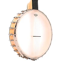 Gold Tone BC-350 Bob Carlin Banjo Gloss Natural