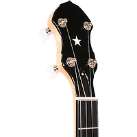 Gold Tone BC-350 Bob Carlin Banjo Gloss Natural