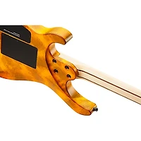 Caparison Guitars Horus-M3 EF Electric Guitar Tiger's Eye