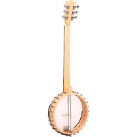 Gold Tone BT-1000 6-String Banjo Guitar Gloss Natural