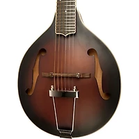 Gold Tone A-6 Left-Handed A-style Mando-Guitar with Case Tobacco Sunburst