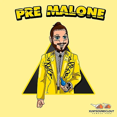 XLNTSOUND PRE MALONE / 85 HIP HOP / TRAP SAMPLES
