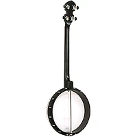 Gold Tone AC-4IT Composite 4-String Openback Irish Tenor Banjo