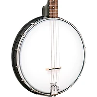 Gold Tone AC-4IT Composite 4-String Openback Irish Tenor Banjo