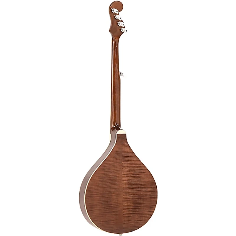 Gold Tone Banjola+ Woodbody Banjo Gloss Natural