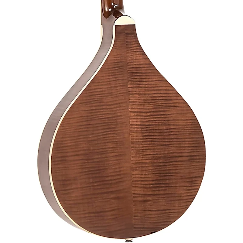 Gold Tone Banjola+ Woodbody Banjo Gloss Natural