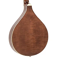 Gold Tone Banjola+ Woodbody Banjo Gloss Natural