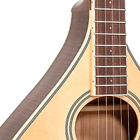 Gold Tone Banjola+ Woodbody Banjo Gloss Natural